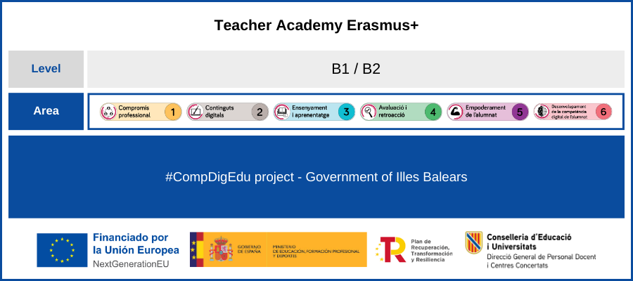 Àrees i nivells del MRCDD Teacher Academy Erasmus+ Àrees i nivells del MRCDD Teacher Academy Erasmus+