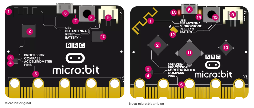Característiques de la part posterior