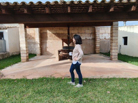 Imatge d'exemple de pla figura