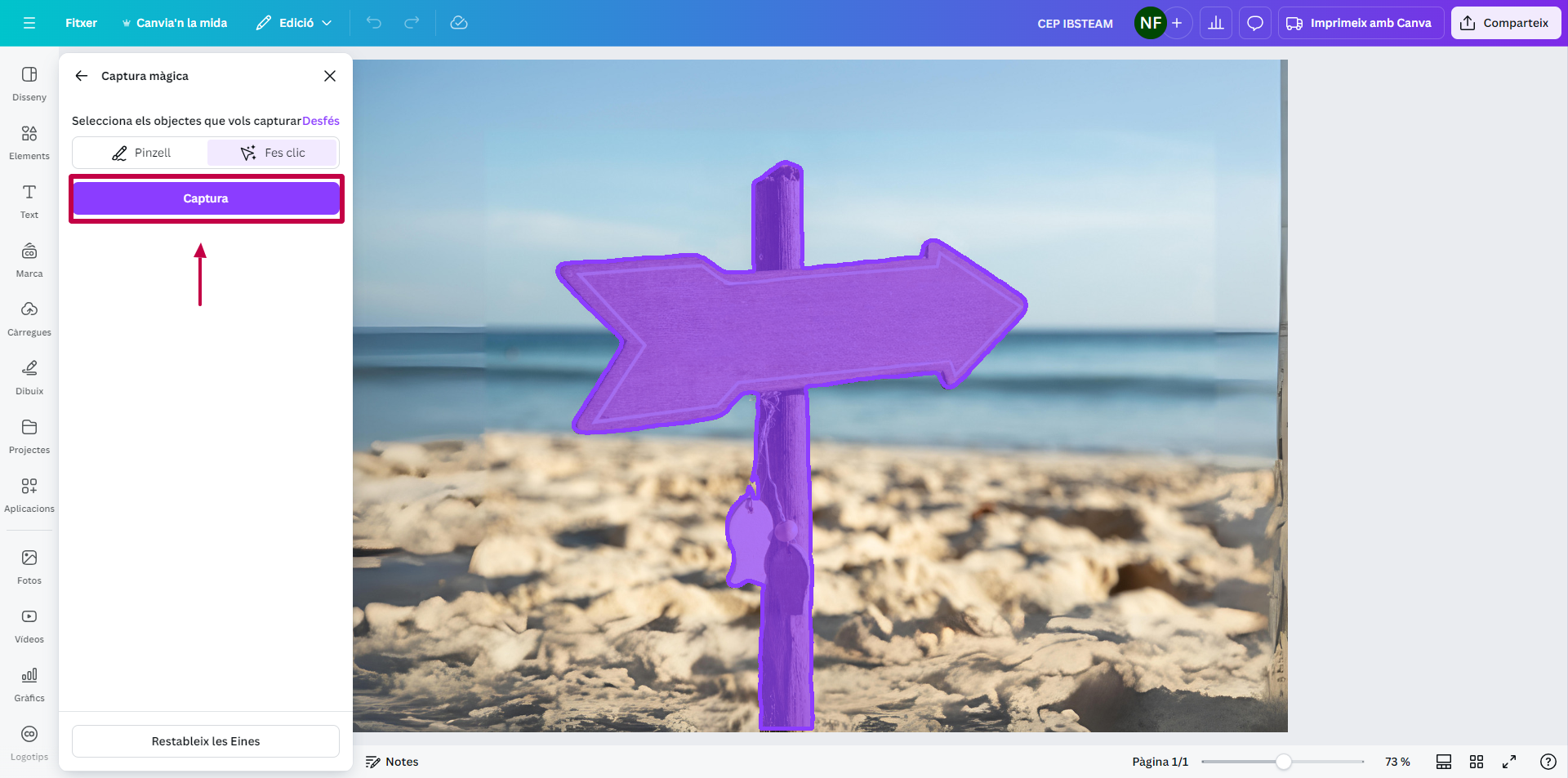 Captura màgica 2 Canva