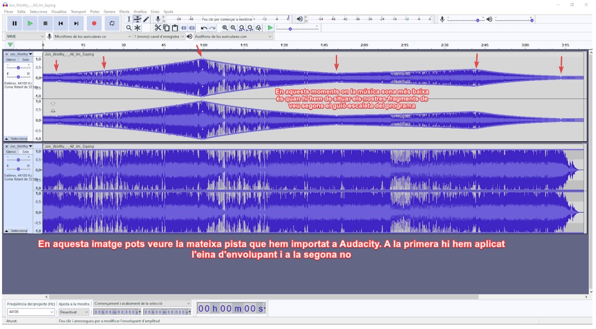 Captura de pantalla Eina d’envolupant