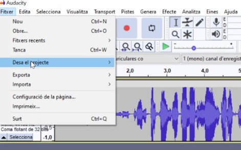 Com desar el projecte