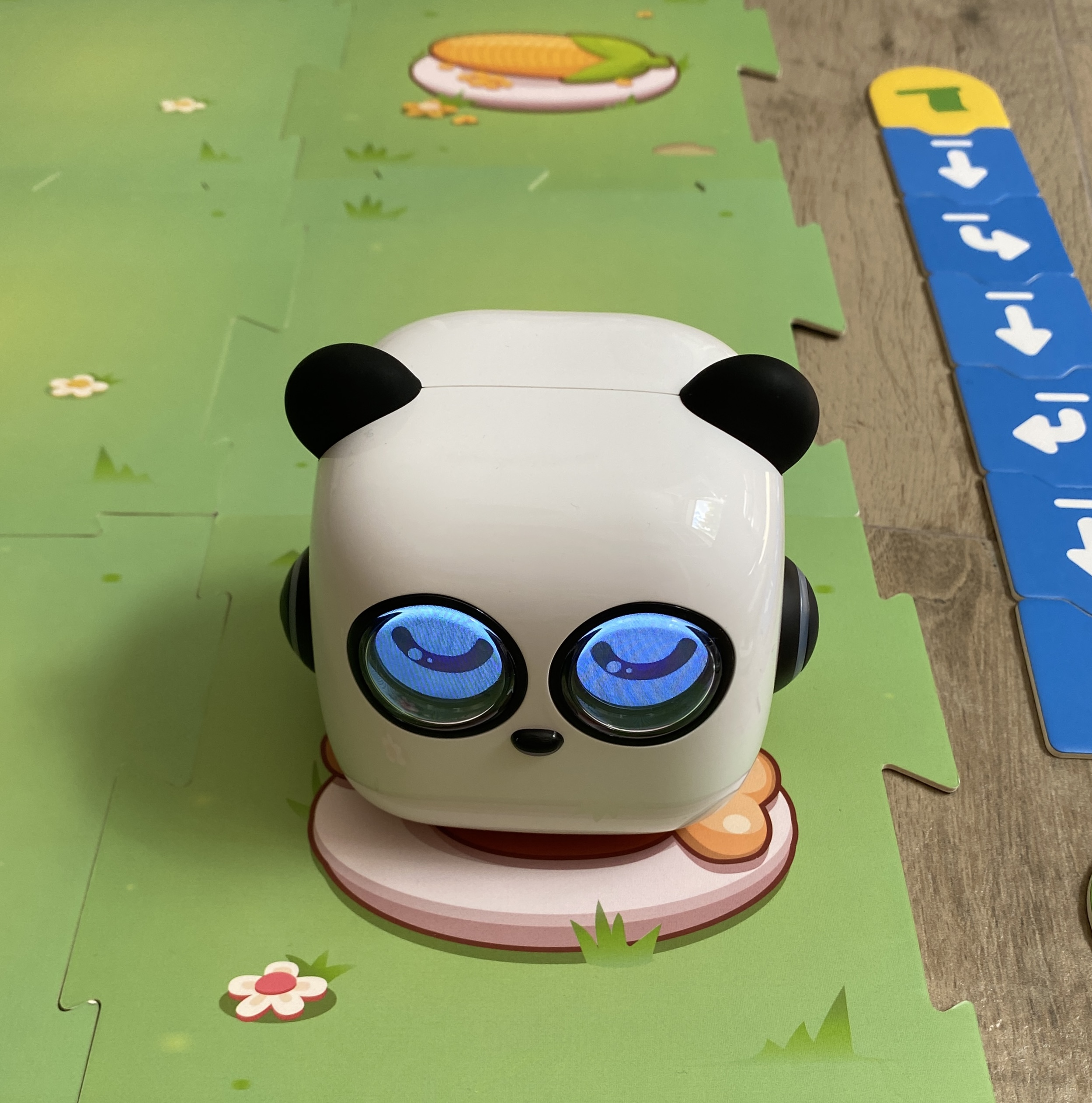 Activitat desplaçaments mTiny