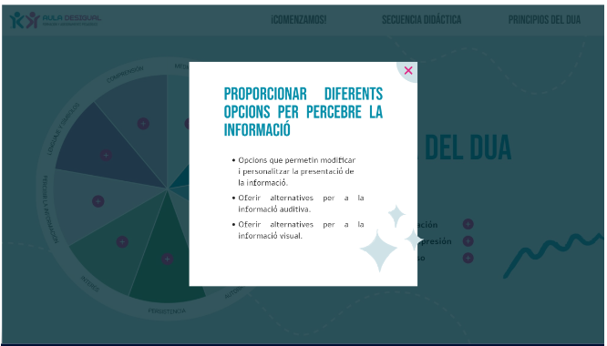 Roda DUA_Punts verificació